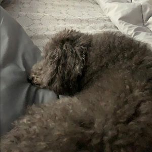 Meet your Posher, Courtney